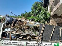 Best Hoarding Cleanup  in Smithville, TN